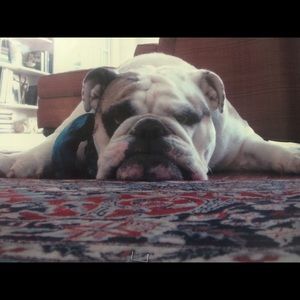 Meet your Posher, David